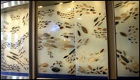 Projectile points