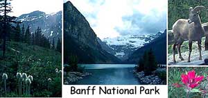 Banff National Park
