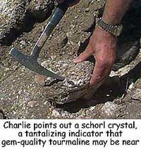 Schorl crystal