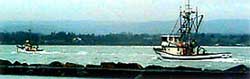 Crabbing boats