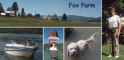 Fox Farm