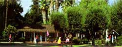 Graber Olive House