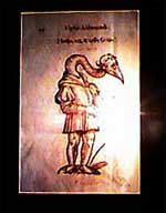 Goose-Necked Man