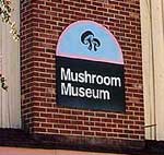 Mushroom Museum