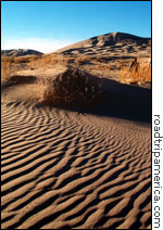 Kelso Dunes