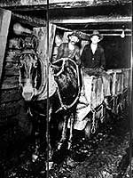 Horse-drawn mine train