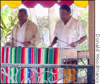 Marimba players