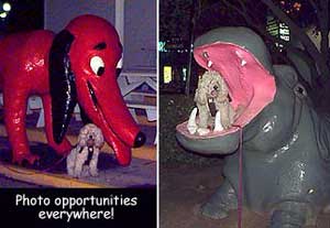 Marvin poses with plaster friends