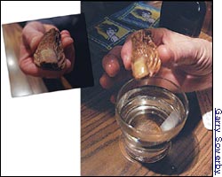 The Sourtoe Cocktail