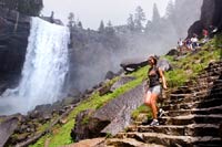 The Mist Trail