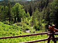 View of the Salmon River