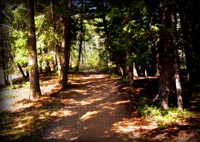 Off the beaten path