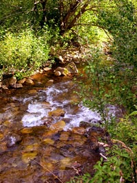 Burns Creek
