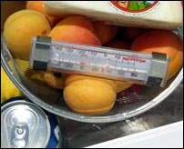 Cooler thermometer