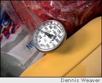 Cooler cuisine