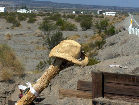 The Amboy Shoe Tree