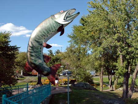 Husky the Muskie
