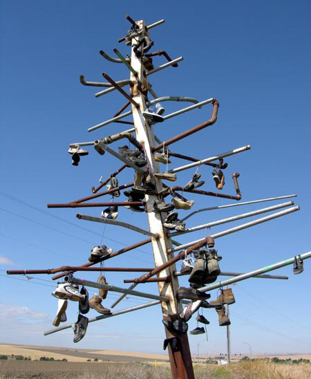 shoe tree wiki