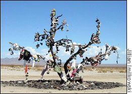 Shoe Tree 8/03