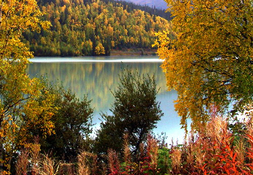 Autumn in Alaska