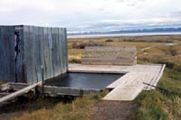 Alvord Springs
