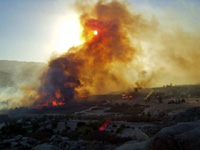 Fire!