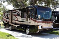 CoachShare's Monaco Safari-Simba