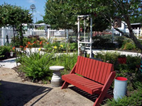 Alzheimer's Garden