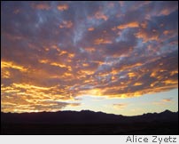 Desert sunset