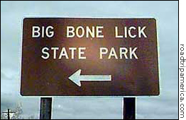 Funny Sign