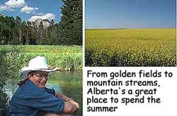 Alberta in Summertime