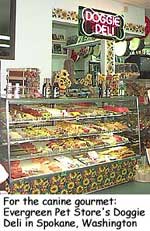 "Doggie Deli"