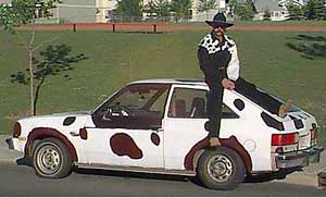 Ray Kristinson & his Cowvette