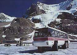 Brewster Snowmobile