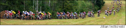 Chequamegon Fat Tire Festival